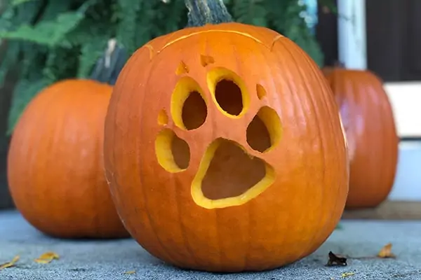 Wolf Pumpkin Patterns for Halloween