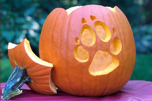 wolf pumpkin patterns