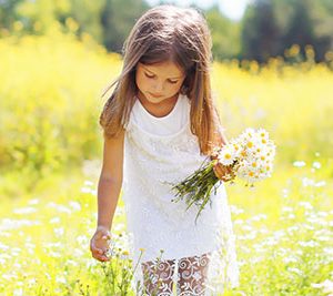 Little girl picking flowers in a field.