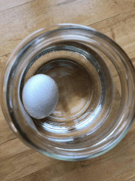 Egg bubbling inside of a cup of vinegar.