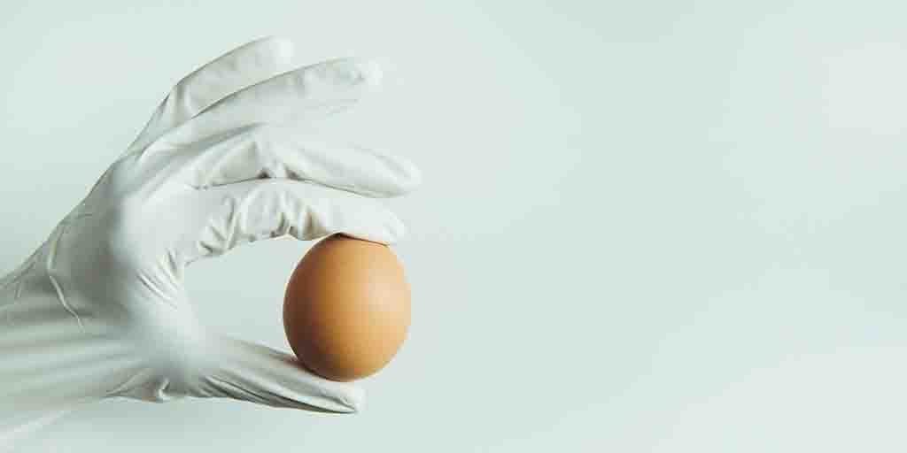 Hand with gloves holding brown egg