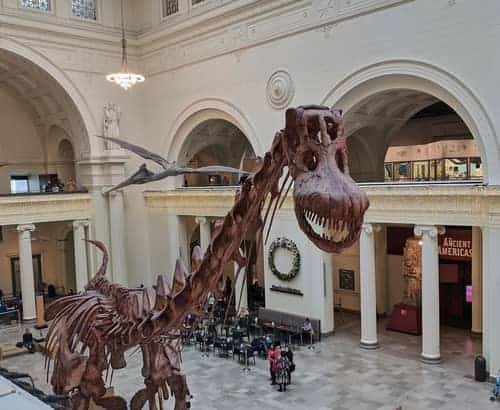Dinosaur skeleton at Chicago's Field Museum