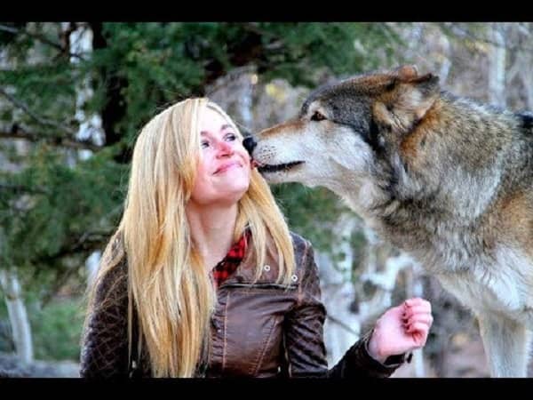 woman at the wolf and wildlife center