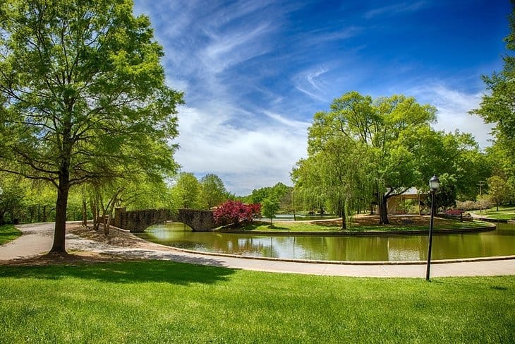View of green trees and sunny skies at Freedom Park in Charlotte, North Carolina