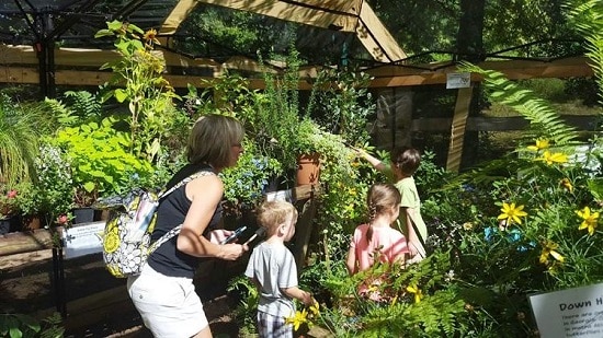 walk through gardens and over water at Chattahoochee nature center