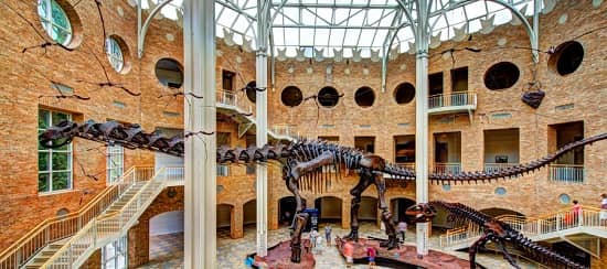 Fernbank – explore natural history