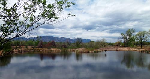 A view of the mountains from Fountain Creek Regional Park