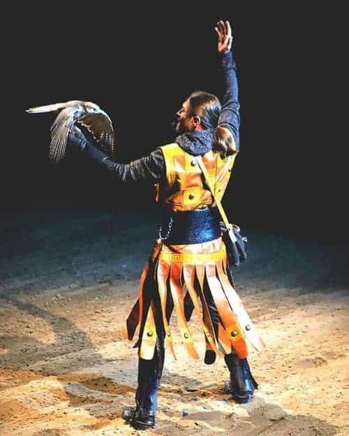 A performer on stage at the Medieval Times Dinner Tournament in southern California 