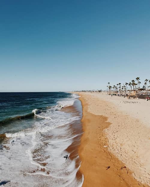 View of ocean, sand and palm trees at Newport Beach