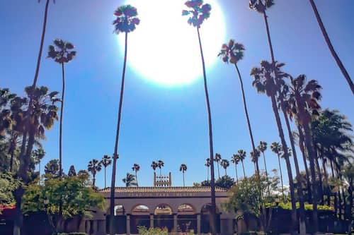 Palm Trees surrounded the Pearson Park Amphitheatre in Anaheim California