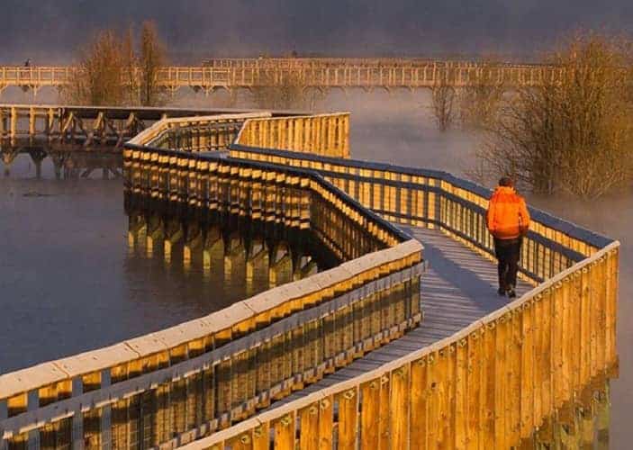 Billy Frank Jr. Nisqually National Wildlife Refuge