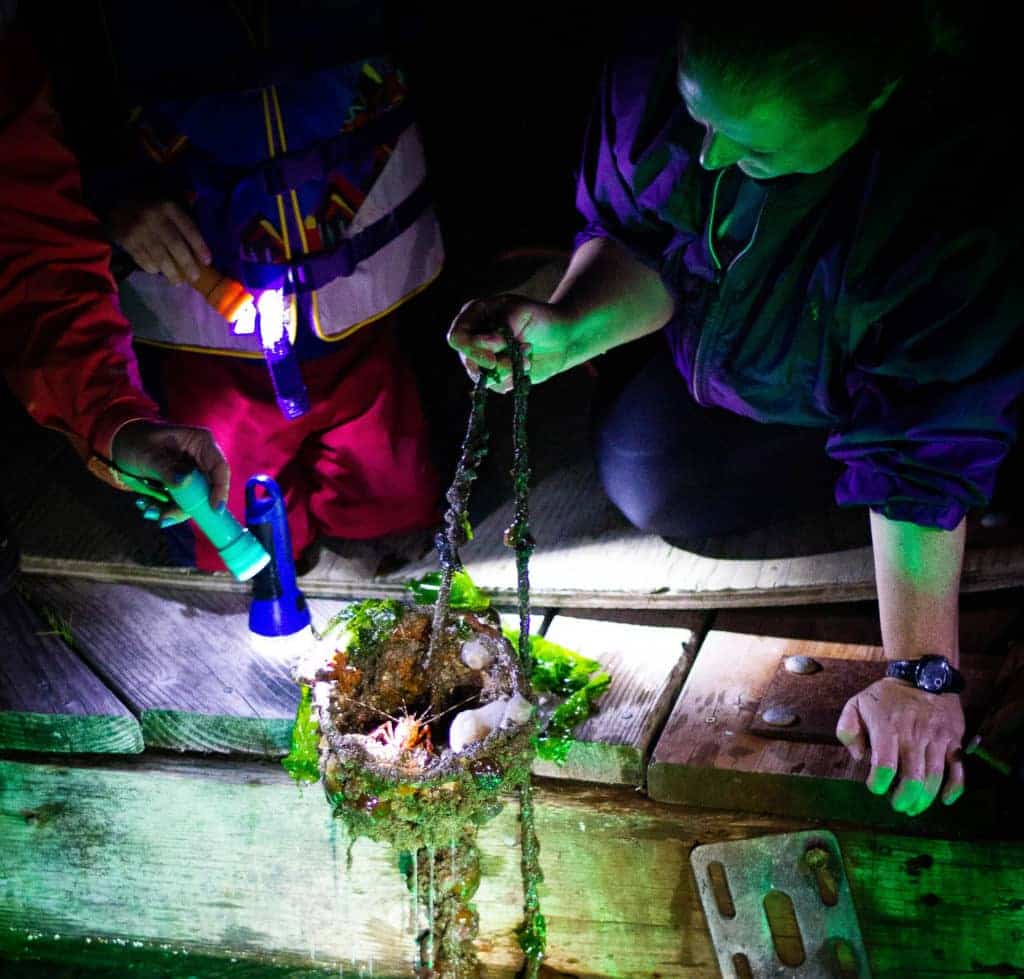 Puget Sound Estuarium