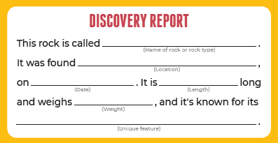 discovery report