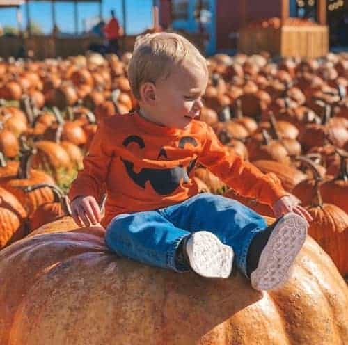 Little boy in a pumpkin patch