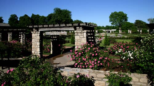 Roses and walkways at the botanical garden in Kansas City