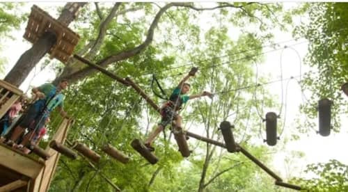 Kids playing on a ropes course 