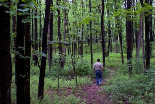 Man walking through forest at Beltzville State Park