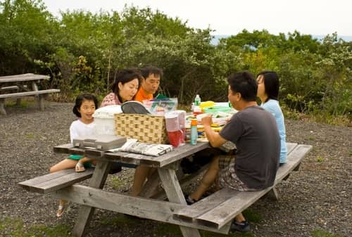 Family having a picnic at Pocono State Park
