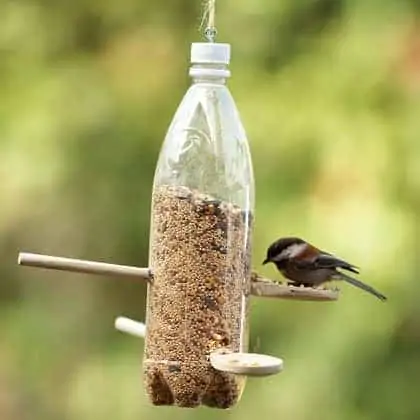 Homemade bird feeder out of water bottle