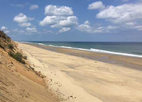 A view of a sandy beach at the Cape Cod National Seashore