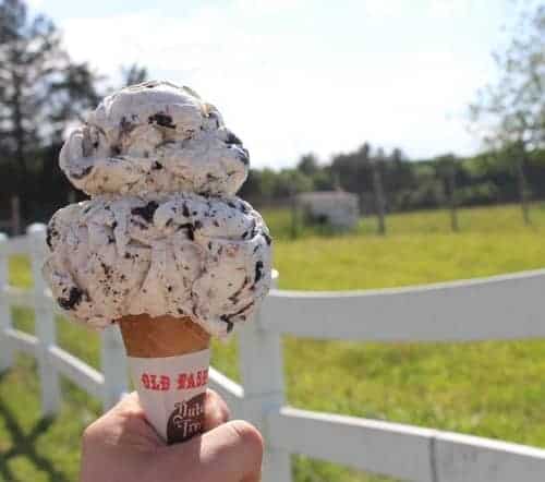 Ice Cream overlooking the field at Crescent Ridge in Sharon, MA