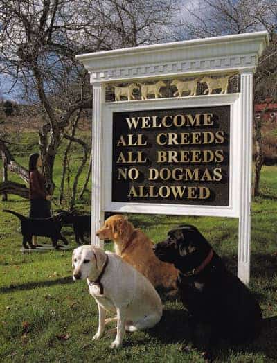 Dogs sitting next to a sign on Dog Mountain