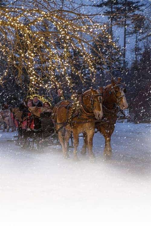 Horse drawn carriage in the snow