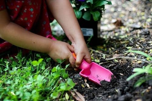 Little girl planting flowers in the garden