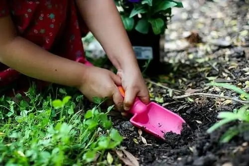 Little girl planting flowers in the garden