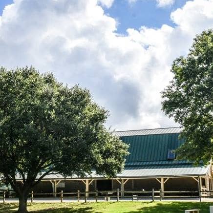 A view of the trees at the Frank Liske Park in Concord, NC