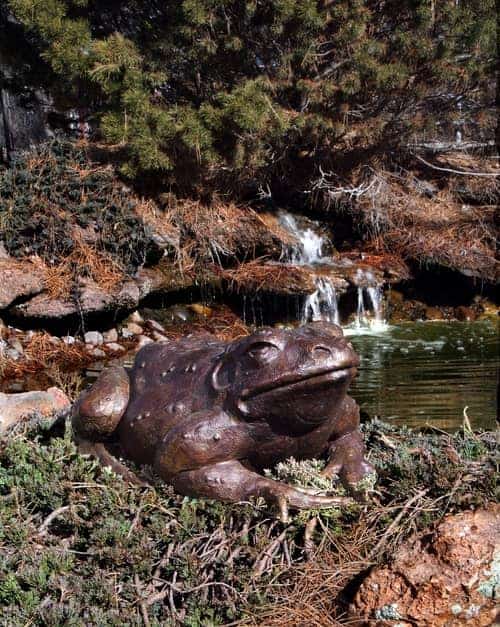 frog statue in oldtown scottsdale