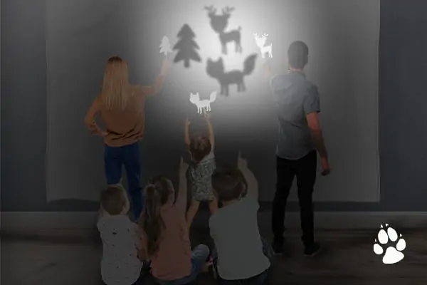 fun camping themed party shadow puppets