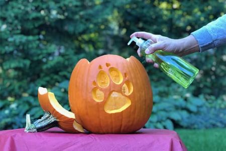 Exploding Pumpkin | Halloween Science