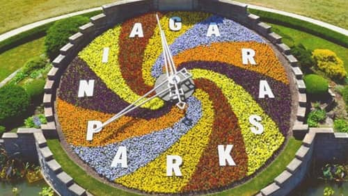 floral clock