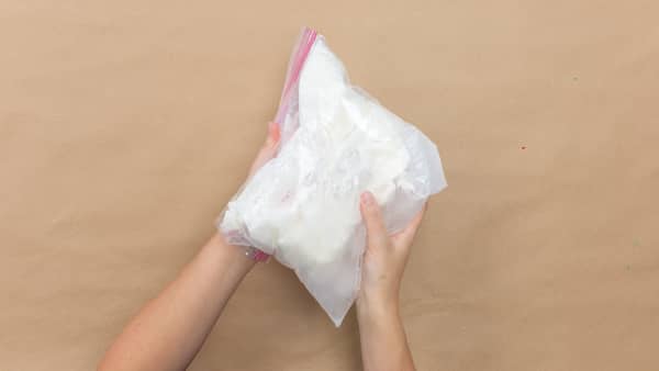 shake plastic bag full of ingredients to make DIY ice cream