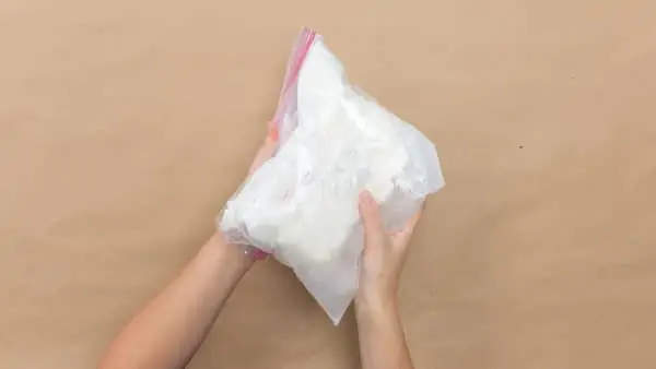 shake plastic bag full of ingredients to make DIY ice cream