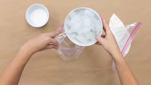 combine homemade ice cream ingredients into plastic bag and add ice