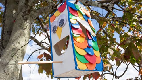 hang diy milk carton outside on a tree branch 