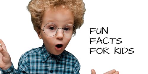 Fun Facts for Kids - Crazy, Weird, and Random!