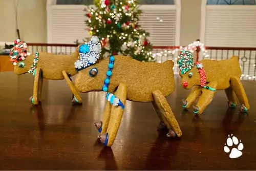 image5 - 6 Amazing Holiday Crafts for the Whole Family