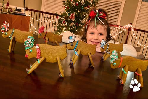 mainimage - 6 Amazing Holiday Crafts for the Whole Family