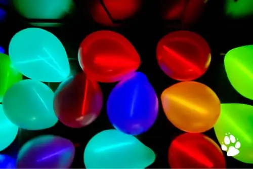 nye balloon drop - Throw A Glow-in-the-Dark Kids Party for New Years!