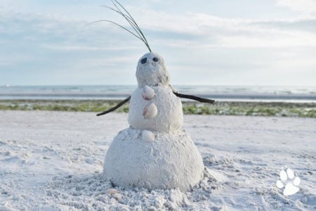 sandman 23 - Learn How to Build a Snowman with Tips