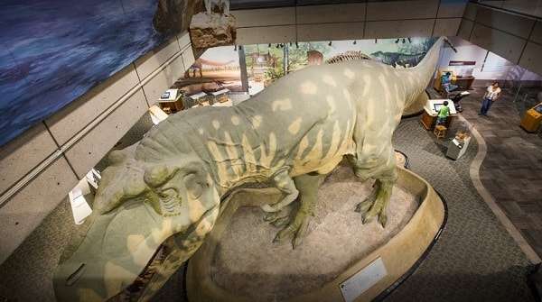 Amazing Dinosaur Life-size Model