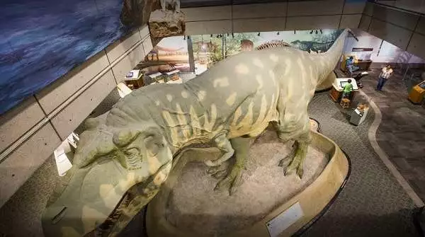 Amazing Dinosaur Life-size Model