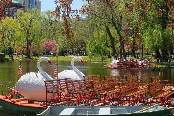 Swan Boat in the Public Garden