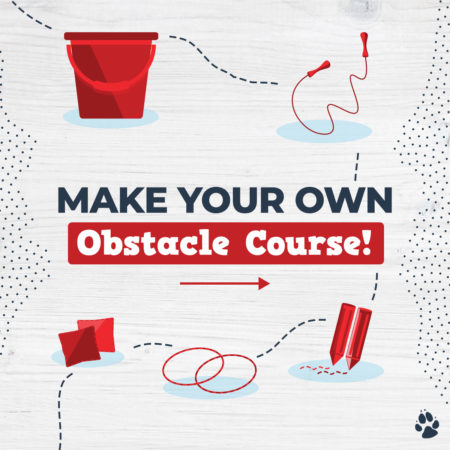 Enjoy This DIY Obstacle Course for Kids!