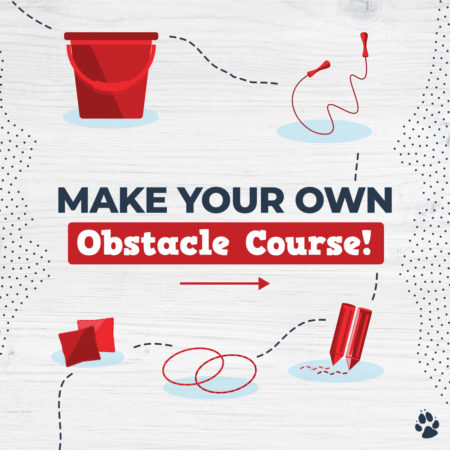 Enjoy This DIY Obstacle Course for Kids!