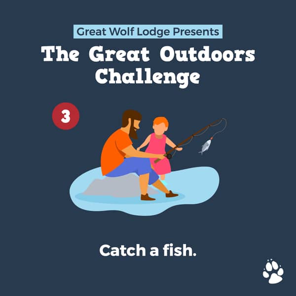 catch a fish - 10 Great Outdoor Challenges to Enjoy This Summer!