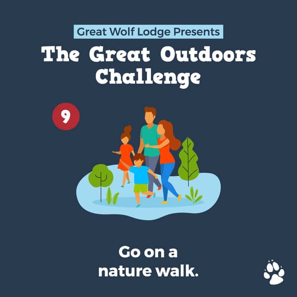 nature walk - 10 Great Outdoor Challenges to Enjoy This Summer!